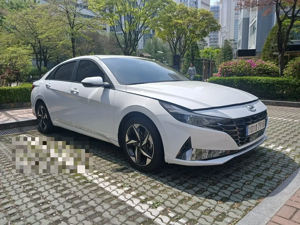 강남 개인 월단위렌트카 아반떼